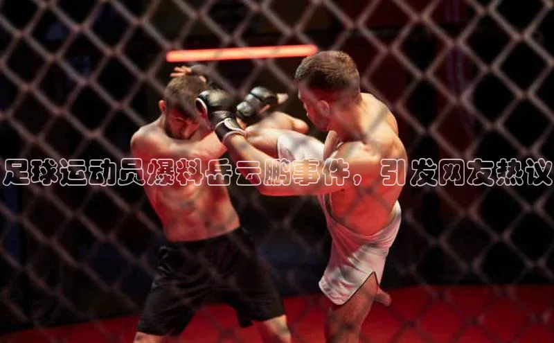 耀世游戏平台官网入口百度数据开放平台足球运动员爆料岳云鹏事件，引发网友热议