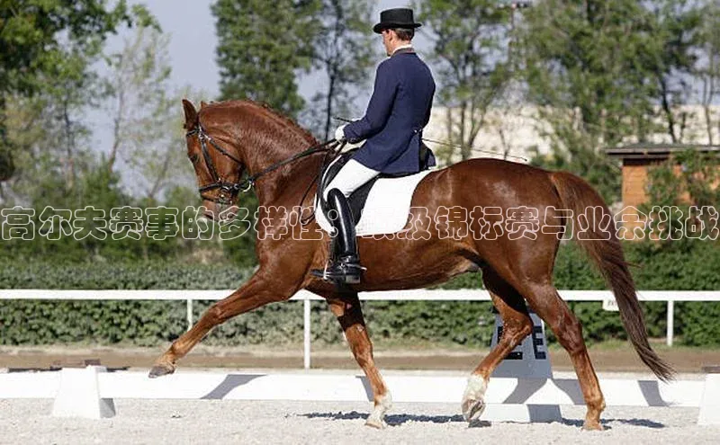 耀世娱乐登录地址诸葛科技高尔夫赛事的多样性：顶级锦标赛与业余挑战