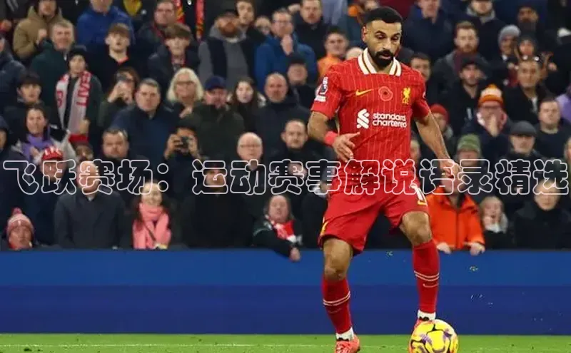 飞跃赛场：运动赛事解说语录精选