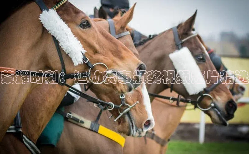 荣耀时刻：运动赛事颁奖视频短片精选
