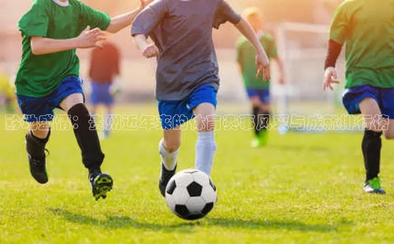 黔地盛情：贵州近年来的体育赛事风采与成就排行榜