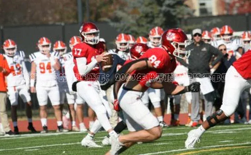 全球视野下的足球盛事：2023年世界顶级足球赛事概览