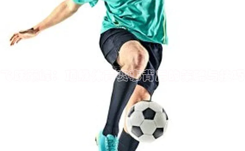 飞跃巅峰：顶级体育赛事背后的策略与技巧