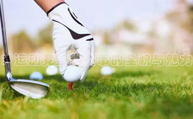 ：运动竞技类赛事的全貌与魅力