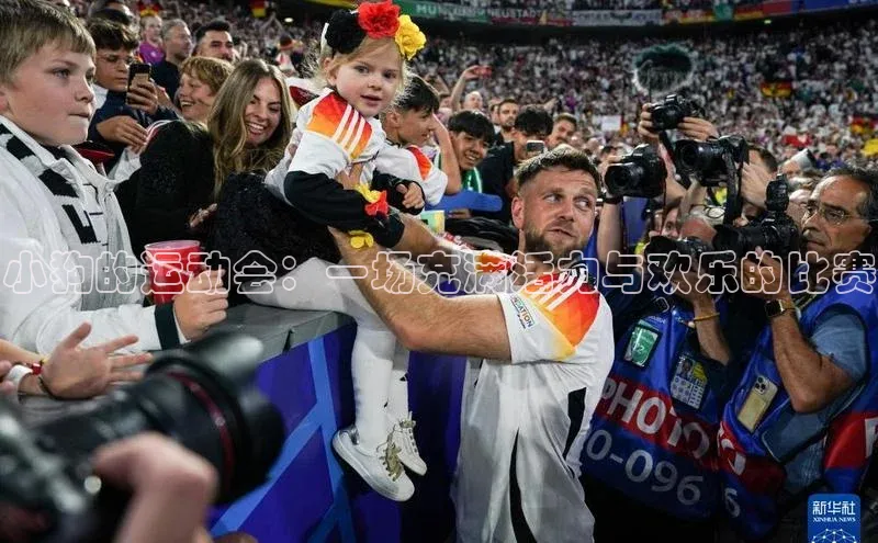 小狗的运动会：一场充满活力与欢乐的比赛