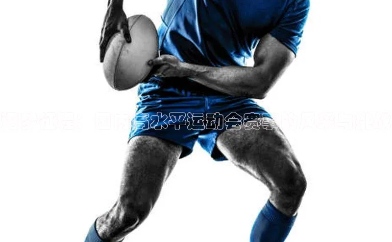 逐梦征程：国内高水平运动会赛事的风采与挑战