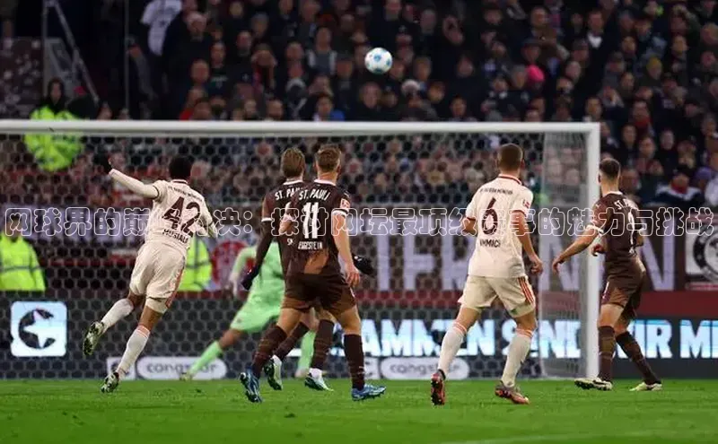 网球界的巅峰对决：探讨网坛最顶级赛事的魅力与挑战