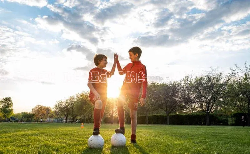 搏击赛事：顶尖运动员的经济回报与行业现状